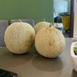Cantaloupe grown in garden at the Harmony Community